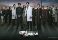 Download Drama Korea Doctor Lawyer Subtitle Indonesia
